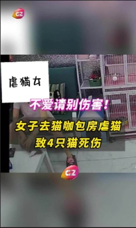 第210页