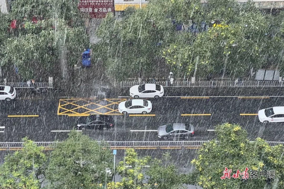 娱乐生活 第24页